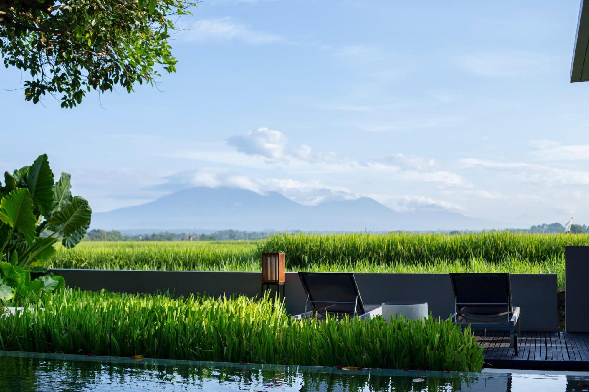 Villa Soori Bali - CHSE Certified Selemadeg Esterno foto