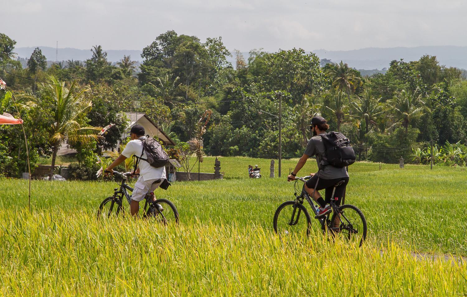 Villa Soori Bali - CHSE Certified Selemadeg Esterno foto